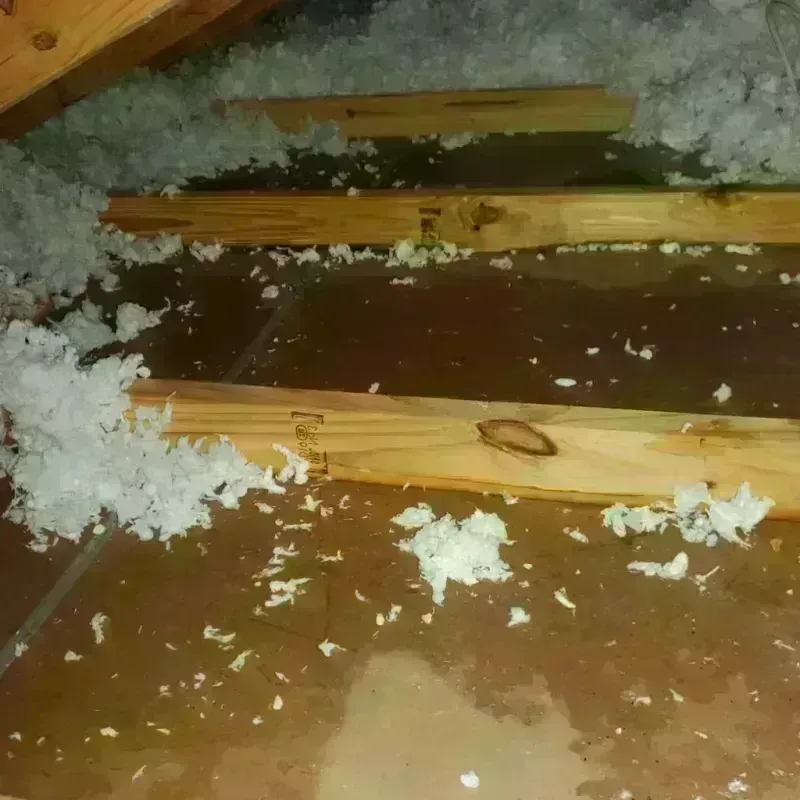 Attic Water Damage in Haskell County, OK